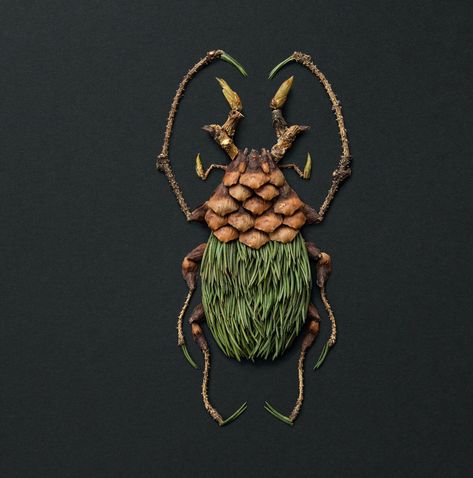 Using flowers, leaves, twigs, and seeds, Canadian artist Raku Inoue creates intricate portraits of insects. Raku Inoue, Colossal Art, Insect Art, Colorful Portrait, Animals Artwork, Nature Crafts, Land Art, Exotic Flowers, Animal Sculptures