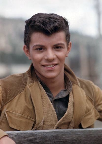 Guns of the Timberland Frankie Avalon, 1950s Outfits, Classic Rock And Roll, Teddy Boys, Fruit Cake, Classic Rock, Golden Age, Cake Recipe, Filmmaking