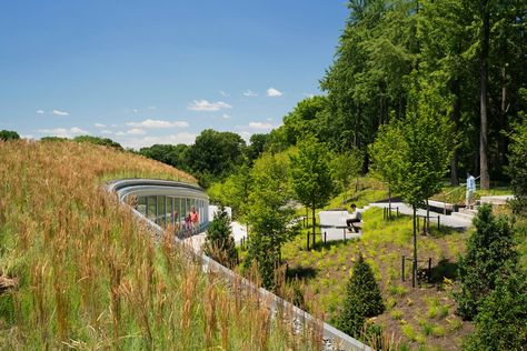 Brooklyn Botanic Garden Visitor Center - Picture gallery Rain Garden Design, Salk Institute, Reaching For The Sky, Brooklyn Botanical Garden, Brooklyn Botanic Garden, Architect Magazine, Eco Architecture, Green Roofs, Landscape And Urbanism