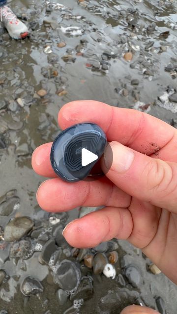 Agate Apostle on Instagram: "A quick trip along the Oregon Coast produced this spectacular dark agate!  I was hoping we would find something like this but didn’t dare get my hopes up too high since we don’t know the area.  First one we have found like this!" Agate Rocks, Rock Hounding, Oregon Coast, Don T Know, Instagram A, Oregon, Agate, The One, I Hope