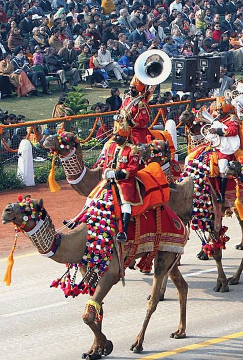 Republic Day Parade, New Delhi Independence Day Parade, Republic Day, New Delhi, Independence Day, Fair Grounds, Horses, Travel