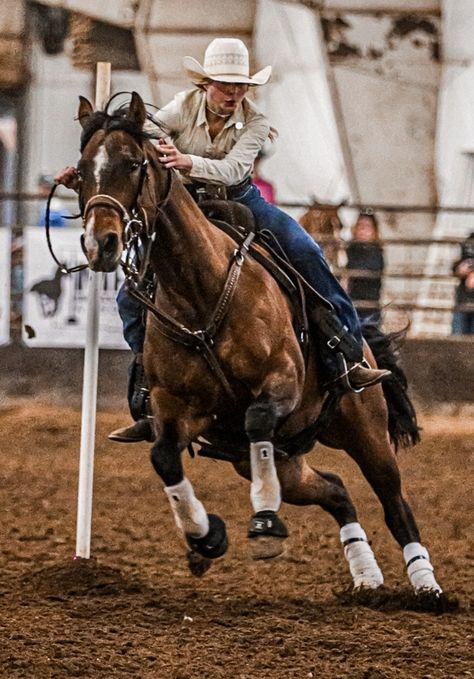 Rodeo Photography, Summer Rodeo, Western Riding Aesthetic, Barrel Racing Aesthetic, Pole Bending, Bronc Riding, Horse Riding Quotes, Cute Horse Pictures, Rodeo Horses