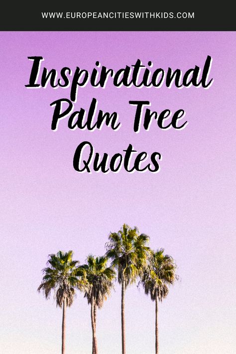 If you’re seeking palm tree quotes that properly encapsulate what you want to say or feel motivated, check out the wonderful collection of famous and unknown palm tree quotes. Europe Quotes, Palm Tree Quotes, Indoor Palm Trees, Cruise Quotes, Indoor Palms, Tree Quotes, Palm Tree Plant, View Quotes, Palm Tree Leaves