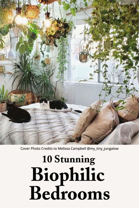 Biophilic Bedroom Ideas Plant Canopy Bedroom, Botanical Bedroom Ideas Cozy, Plant Wall Over Bed, Plant Shelf Behind Bed, Bedroom With Plants And Books, Over Bed Plant Shelf, Canopy Bed With Plants, Plant Shelf Over Bed, Bedroom Full Of Plants