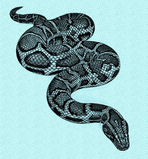 Burmese Python Tattoo, Ball Python Tattoo Black And White, Carpet Python Tattoo, Python Tattoo Design, Ball Python Tattoo Design, Python Illustration, Python Snake Drawing, Python Art, Python Tattoo