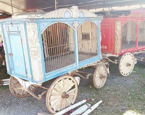 Antique circus cars at the Texas Antique Week! #antiqueweek #texasantiquesweek Twisted Carnival, Antique Circus, Scary Circus, Haunted Circus, Circus Aesthetic, Halloween Circus, Circus Train, Dark Circus, Circus Tent