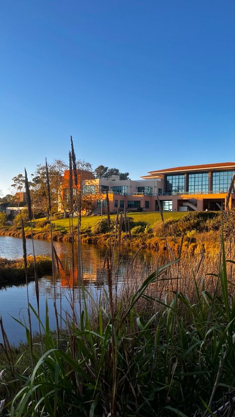 Uc Santa Barbara Campus, Uc Santa Barbara Aesthetic, Ucsb College Aesthetic, Ucsb Aesthetic, Ucsb Campus, Santa Barbara Aesthetic, Ucsb College, University Of Santa Barbara, 2023 Rebrand