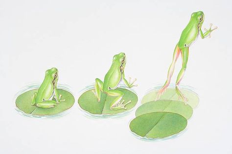 Frog Leaping, Frogs Jumping, Amphibians Animals, Three Animals, Jumping Frog, Frog Frog, Frog Illustration, Frog Drawing, Glass Frog