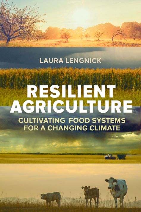 Agriculture Books, Environmental Change, Mother Earth News, Sustainable Agriculture, Food System, Green Power, Off Grid Living, Growing Food, Permaculture