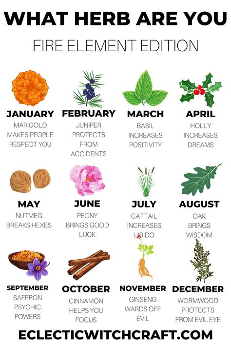 What herb do you need? Find out based on your birth month. Herbs for witchcraft. Herbs witch. List of herbs for witchcraft. Basic herbs for witchcraft. Best money drawing herbs for witchcraft. Green witchcraft for beginners. Herbal magic. Herbal witch. Smudge pagan kitchen witch smudge stick Wiccan clove spell witchy herb meanings and uses. Flower and herb meanings. Herbs By Birth Month, Money Herbs Witchcraft, Cloves Spiritual Meaning, Spiritual Meaning Of Clove, Cloves In Witchcraft, Herbs Meaning Witchcraft, Herb Meanings Witchcraft, Witchy Herbs And Meanings, Herbs And Meanings