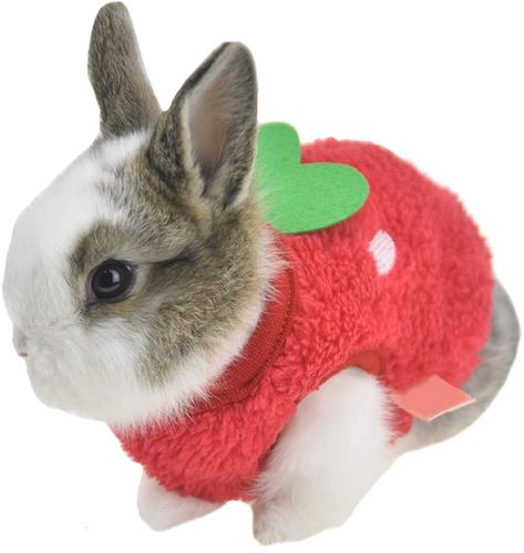 AmazonSmile : Winter Warm Bunny Rabbit Clothes Small Animal Chinchilla Ferret Costume Outfits XXS Dog Clothes (3XS(Bust 8.6"), Red) : Pet Supplies Pet Rabbit Clothes, Kitten Clothes, Rabbit Clothes, Puppy Costume, Rabbit Costume, Puppy Coats, Pet Bunny, Bunny Outfit, Pet Rabbit