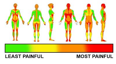 Pain Level For Tats Women, Painful Tattoo Areas Charts, Tattoo Painful Chart Women, Tattoo Painful Area, Most Painful Tattoo Areas, Most Painful Tattoo, Tattoo Chart, Nerd Tattoos, Pain Chart