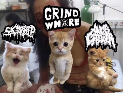 Mxmxm Band, Grindcore Aesthetic, Punk Bands Posters, I Miss My Cat, Emo Love, Cool Pictures For Wallpaper, Rawr Xd, Hardcore Punk, Emo Kid