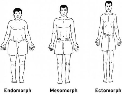 What body type do you have? There are three different body types. The endomorph, mesomorph and ectomorph. It's possible to share the characteristics of all three body types. Fitness Habits, Success And Failure, Marathon Training, Physical Education, Weight Training, Personal Training, Male Body, Get In Shape, Personal Trainer