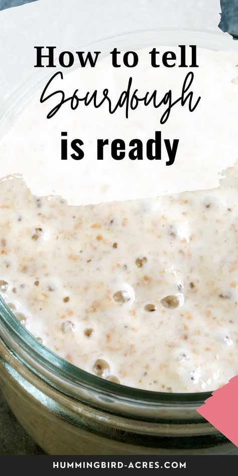 Sourdough Starter Discard, Healthy Starters, Recipe Using Sourdough Starter, Sourdough Bread Starter, Chewy Bread, Dough Starter, Sourdough Starter Discard Recipe, Homemade Breads, Homemade Sourdough Bread