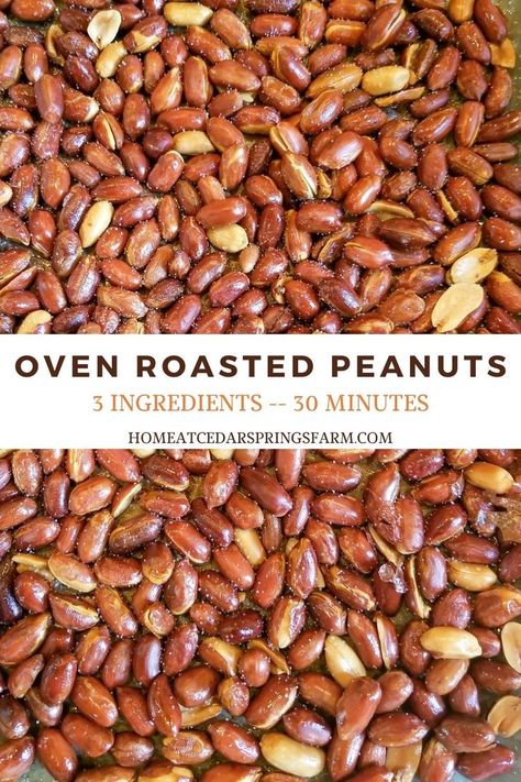 Oven Roasted Peanuts, or as southerners call them, “parched” peanuts, are baked in the oven until toasted and then lightly salted. A fantastic snack for on the go, watching ball games, or just sitting on the couch. An easy snack you can enjoy in about 30 minutes. #ovenroastedpeanuts #parchedpeanuts #peanuts #snack #footballsnacks Roast Nuts In Oven, Oven Roasted Peanuts Recipe, Roasted Peanuts In Shell Recipe Oven, Dry Roasted Peanuts Recipe, Glazed Peanuts Recipe, Salted Roasted Peanuts Recipe, Snacky Foods, Healthy Snaks, Boiled Peanuts