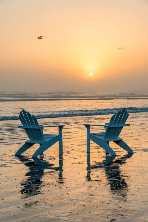 Original Art Color/Photo Photography, measuring: 76.2W x 114.3H x 0.25D cm, by: Mike Ring (United States). Styles: Fine Art, Photorealism. Subject: Beach. Keywords: Coastal, Seascape, Seagulls, Water, Florida, Fine Art, Adirondack Chairs, Beach, Photography, Sun, Sunrise, Yellow. This Color/Photo Photography is one of a kind and once sold will no longer be available to purchase. Buy art at Saatchi Art. Beach Chair Pictures, Beach Chairs On Beach, Beaches Photography, Muskoka Chair, Coastal Birds, Sun Water, Set Ideas, Beach Chair, Photorealism