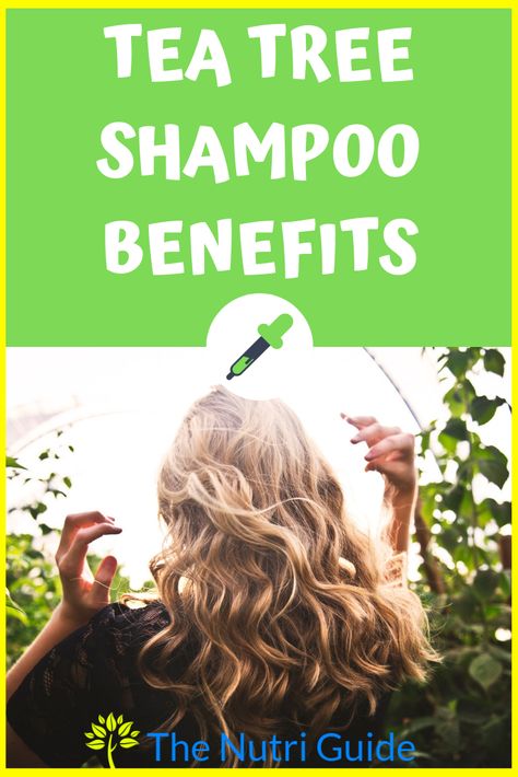 Learn about the many benefits of using tea tree oil shampoo for your hair.  Safe DIY shampoo recipes. #teatree #teatreeoil #haircare #eo #essentialoils #naturalremedy Adding Tea Tree Oil To Shampoo, Tea Tree Oil Shampoo Diy, Tea Tree Shampoo And Conditioner, Tea Tree For Hair, Teatreeoil Uses, Tea Tree Oil Uses For Hair, Teatree Oil Benefits, Tea Tree Benefits, Tea Tree Oil For Hair