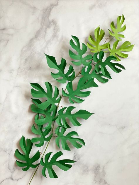 Rhaphidophora Tetrasperma, Paper Plants, Paper Leaves, Leaf Template, Deco Originale, Giant Paper Flowers, Pdf Templates, Craft Art, Custom Paper