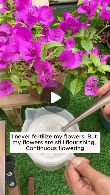 Plant Food Diy, Garden Ideas Diy Cheap, Flower Fertilizer, Small Garden Landscape, Indoor Water Garden, Beautiful Home Gardens, Garden Remedies, Jungle Gardens, Plant Care Houseplant