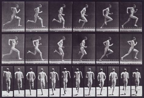 Wellcome Images, Running Pose, Eadweard Muybridge, Animal Movement, Photo Sequence, Anatomy Poses, Different Poses, Animation Tutorial, Arte Inspo