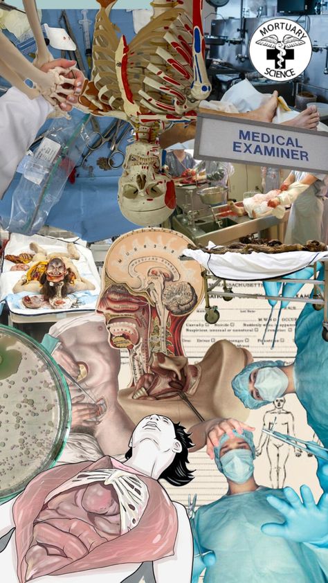 Medical examiner #anatomy Medical Examiner Aesthetic, College Core, Field Aesthetic, Medical Examiner, Health Careers, Future Career, Prayer Board, Medical School, Dream Job