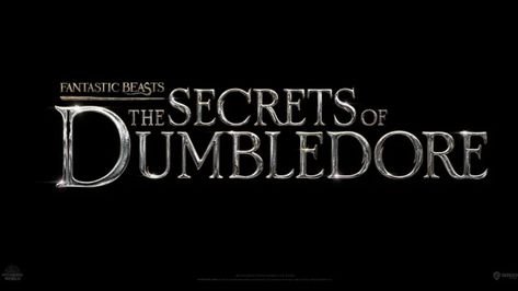 The Secrets Of Dumbledore, Secrets Of Dumbledore, Alison Sudol, Fantastic Beasts Series, Tina Goldstein, Beast Film, Period Drama Movies, Harry Potter Wiki, Fantastic Beasts Movie