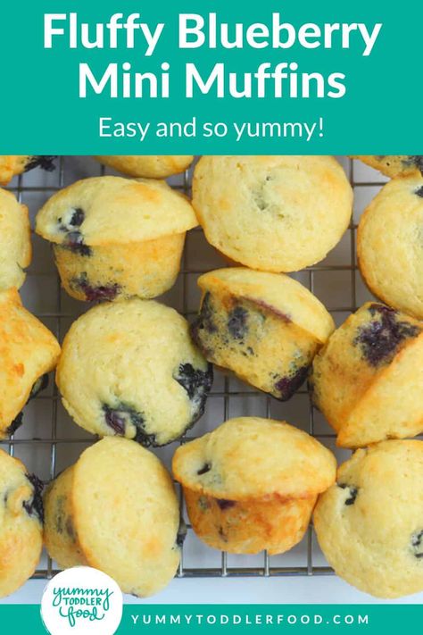 Little Bites Muffins, Blueberry Mini Muffins, Mini Blueberry Muffins, Mini Muffin Recipe, Toddler Muffins, Blw Recipes, Mini Chocolate Chip Muffins, Baby Muffins, Dude Food