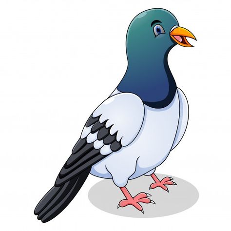 Puppy Activities, Pigeon Cartoon, Cartoon Pigeon, Bird Cartoon Character, Animal Cartoon Illustration, Pigeon Drawing, Birds Cartoon, Nature Character, Cartoon Drawing For Kids