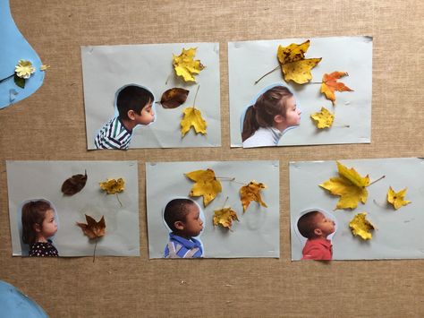 Anthropologie Classroom, Infant Room, Tree Study, Fall Kindergarten, Fall Preschool, Daycare Crafts, Fall Crafts For Kids, Autumn Crafts, Kindergarten Art