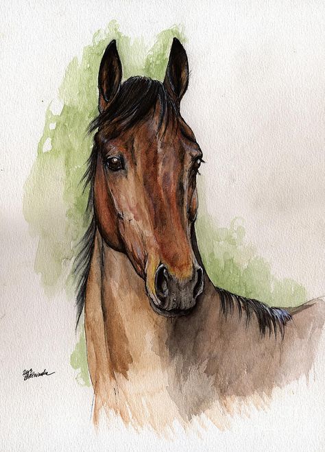 Horse Farmhouse, Watercolor Horse Painting, Horse Art Drawing, Horse Sketch, Love Horses, Watercolor Horse, Horse Wall Art, Horse Portrait, Beautiful Horse