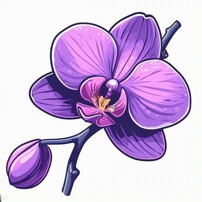 single purple orchid cartoon clipart images - Pencipta Imej daripada Microsoft Designer Orchids Painting, Flower Drawings, Cartoon Clipart, Plant Wallpaper, Purple Orchids, School Kids, Cartoon Clip Art, Clipart Images, Animated Gifs