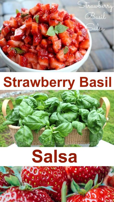 Strawberry Basil Salsa - One Hundred Dollars a Month Basil Strawberry And Cream Cheese Appetizer, Unusual Appetizers, Strawberry Canning, Appetizers Summer, Triscuit Recipes, Salsa Canning Recipes, Summer Appetizers, Toasted Baguette, Strawberry Salsa