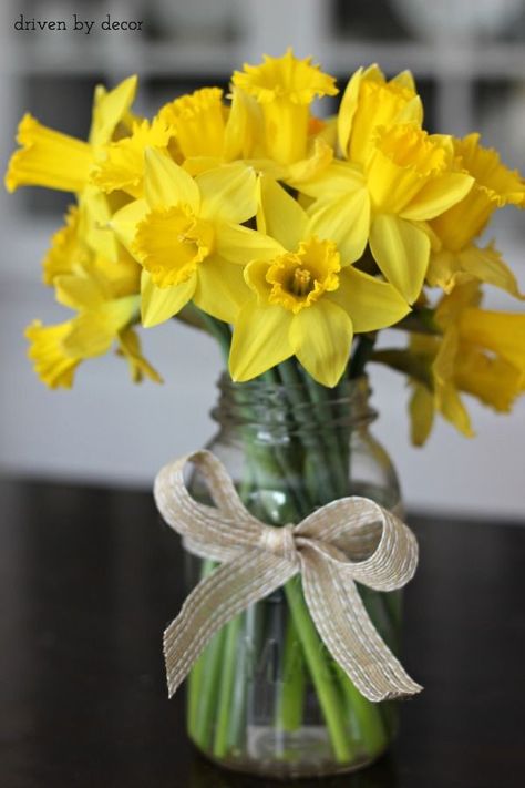 Brunch Decorations, Daffodil Bouquet, Brunch Decor, Driven By Decor, Spring Table Decor, Tafel Decor, Spring Brunch, Spring Centerpiece, Simple Centerpieces