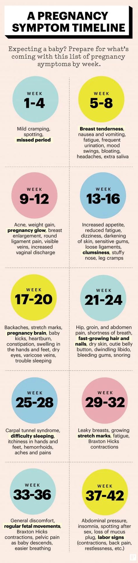 200228-pregnancy-timeline-infographic Pregnancy Symptoms By Week, Pregnancy Timeline, Pregnancy Calendar, Pregnancy Info, Pregnancy Guide, Baby Life Hacks, Pregnancy Advice, Baby Facts, Baby Planning