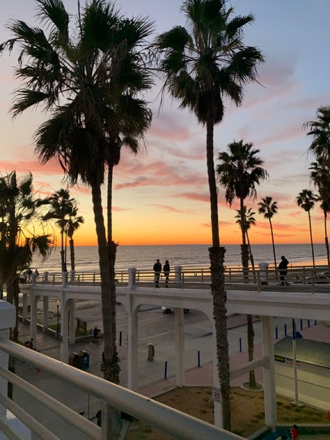 #sunset #oceanview #ocean #palmtrees #california #beach Sunset Boat Ride, Summer Beach Sunset, Outdoors Aesthetic, Sunset Sailing, Sunset Palm Trees, San Diego Bay, California Sunset, Boat Ride, Ocean Sunset