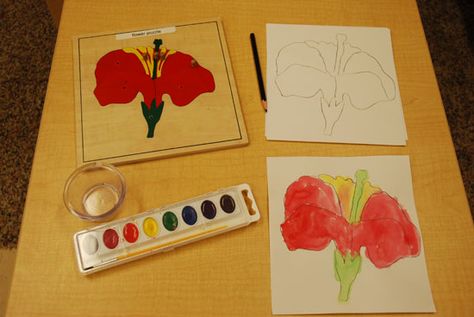 Flower Puzzle - Children trace puzzle and then use water colors to paint their picture. Montessori Plant Activities, Plants Montessori Activities, Montessori Flower Arranging, Parts Of A Flower Activity, Montessori Botany, Montessori Crafts, Montessori Science, Flower Puzzles, Montessori Geography