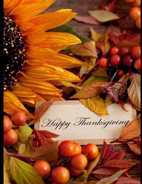 Happy Thanksgiving Wallpaper Aesthetic, Happy Thanksgiving Iphone Wallpaper, Black Happy Thanksgiving Images, Free Happy Thanksgiving Images, Happy Thanksgiving Aesthetic, Thanksgiving Pics Vintage, Thanksgiving Images For Facebook, Hippy Happy Thanksgiving, Free Thanksgiving Wallpaper