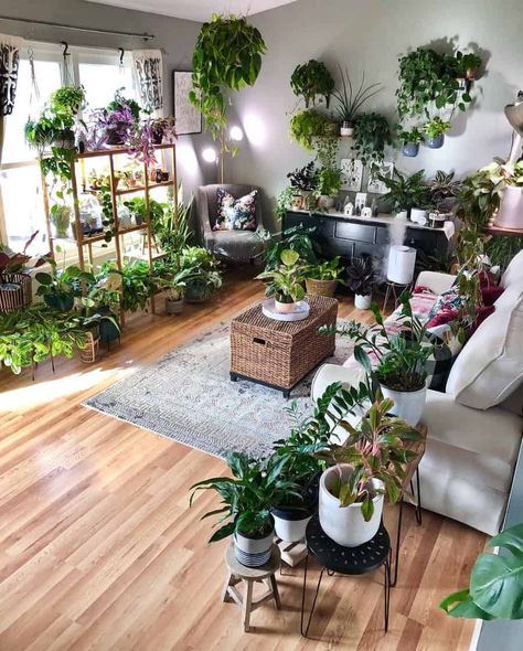 Indoor Plants Decor Living Room, Living Room Plants Decor, Indoor Plant Wall, Living Room Plants, Indoor Gardens, Plant Decor Indoor, 아파트 인테리어, Plant Aesthetic, House Plants Decor