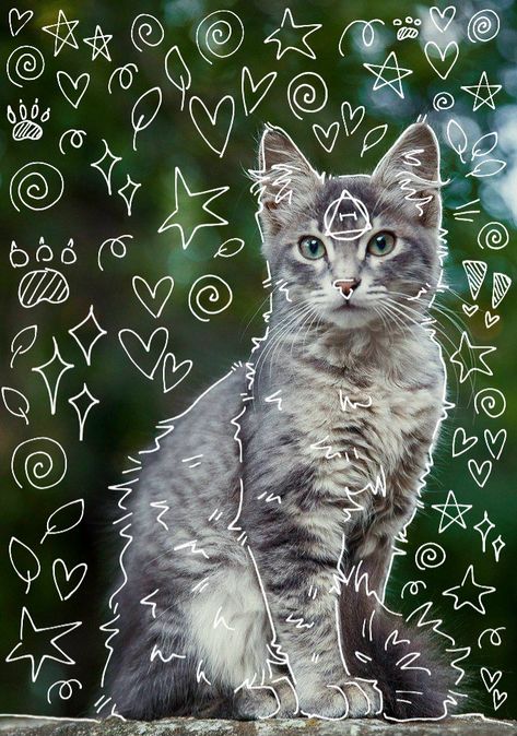 Roblox Dance, White Tabby Cat, Cat Therian, Grey Tabby, Fox Artwork, Cat Species, Warrior Cats Art, Forest Cat, Silly Cats Pictures