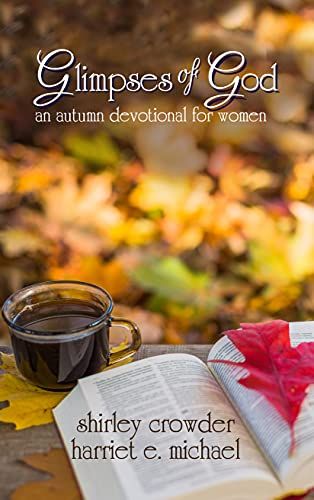 Fall Devotionals For Women, Womens Day Theme, Short Devotions, Devotional For Women, Secret Sister, Writers Conference, Study Notebook, Church Ministry, Bible Study Tips