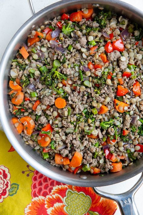 Lentils And Ground Beef, Lentils With Ground Beef, Ground Beef Lentil Recipe, Lentil And Ground Beef Recipes, Lentil Ground Beef Recipes, Ground Beef And Lentils Recipe, Ground Turkey And Lentils Recipes, Beef And Lentil, High Fiber Dinner