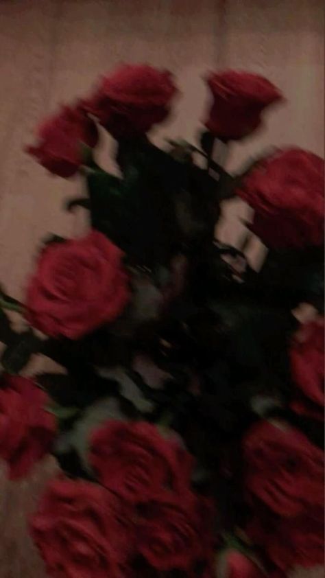 Roses, Red Roses, Wall, Red