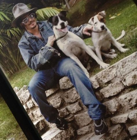 Johnny Depp Johnny Depp Fans, Johnny Depp Pictures, Johnny D, Life Friends, Man Alive, Johnny Depp, Dog Pictures, Boston Terrier, The Incredibles