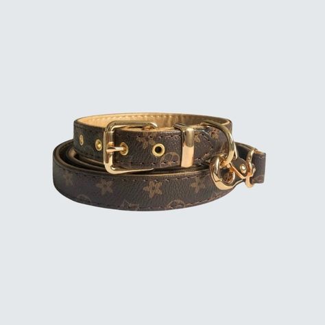 Red dog collar