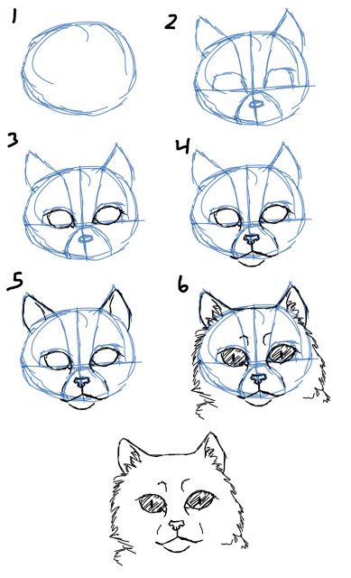 How to Draw Cat Faces/Heads- Front View Face Chat, Cat Side, Cat Face Drawing, Draw Cat, Cat Drawing Tutorial, Drawing Tutorial Face, Face Drawing Reference, Drawing Heads, Small Drawings