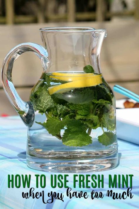 Mint Recipes Fresh, Mint Benefits, Lemon Mint Water, Mint Detox Water, Drinking Alkaline Water, Mint Water, Mint Recipes, Herb Recipes, Lemon Mint