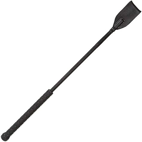 Riding Crop Aesthetic, Horse Riding Equipment, The Fit Equestrian, Horse Whip, Horse Gear English, English Saddle Jumping, Horse Riding Gear, Riding Crop, Dark Bay Horse Jumping