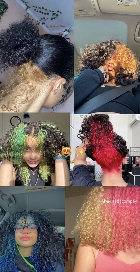 Part Hair Dyed, Curly Hair Dye Ideas Honey Blonde, Hair Color Ideas 2 Colors, Different Way To Dye Hair, Hair Dye Ideas For Natural Hair, Color For Curly Hair Ideas, Hair Dyes For Curly Hair, Types Of Ways To Dye Hair, Ombre Highlights Curly Hair