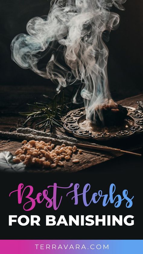 Herbs for banishing. Herbs For Banishing, Banishing Spells, Get Rid Of Negative Energy, Rid Of Negative Energy, Hoodoo Magic, Banishing Spell, Fire Festival, Witch Spirituality, Occult Books